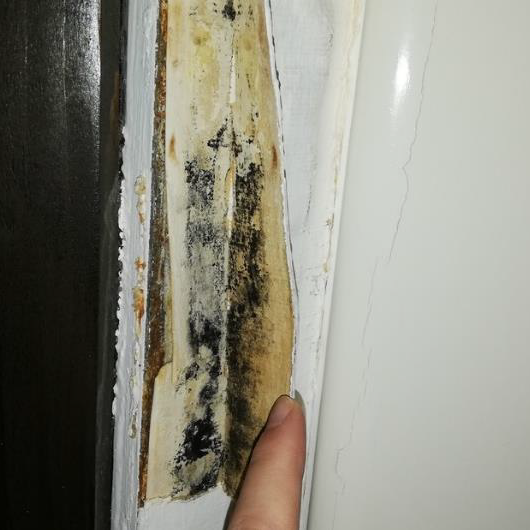 Verdeckte Schimmelschäden können unangenehme Gerüche und gesundheitliche Beeinträchtigung verursachen.